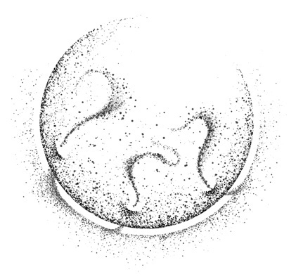 建立半透膜