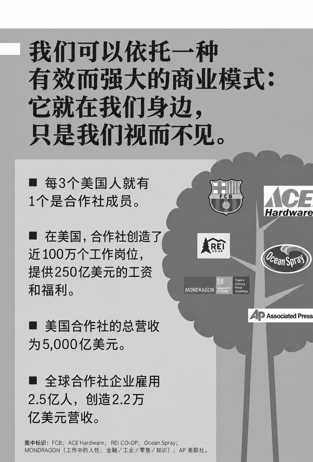 平台合作社信息图 5（原书第261页）
